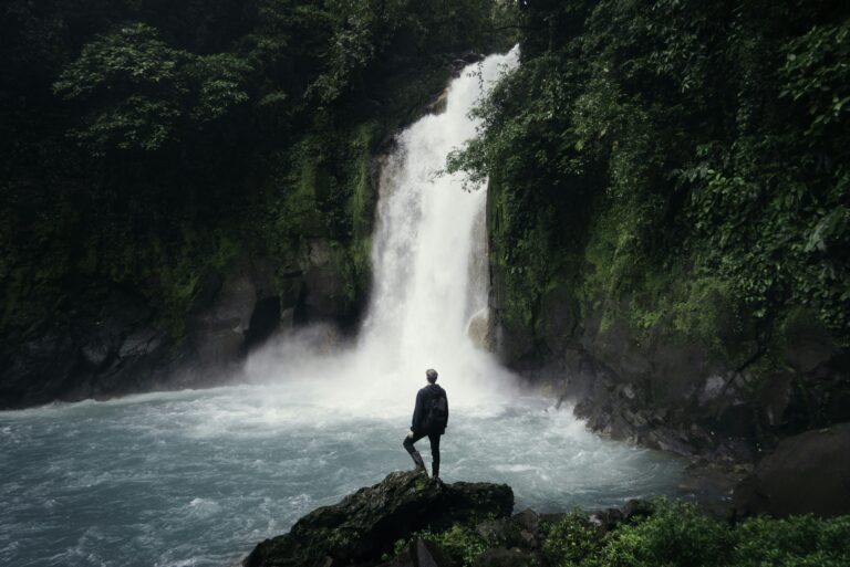 Kayaking Expeditions in Andaman: Paddling through Mangrove Forests and Coastal Waters