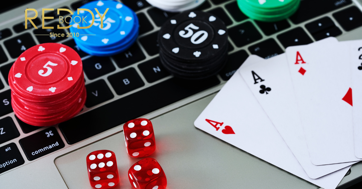 Why Reddy Book Club Is Gaining Popularity Among Bettors