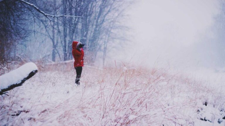 How To Place A Bet On Cricbet99?