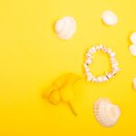 Reddybook Review: Transforming Digital Publishing & How It Stands Up to 11xplay